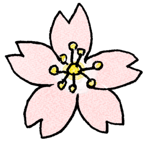 桜の花：プレゼント・祖父母・敬老の日・お正月・誕生日・七五三・和風のスタンプ素材