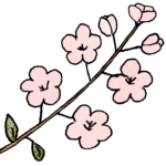 梅の花：プレゼント・祖父母・敬老の日・お正月・誕生日・七五三・和風のスタンプ素材