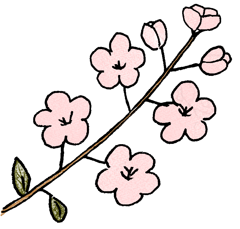 梅の花：プレゼント・祖父母・敬老の日・お正月・誕生日・七五三・和風のスタンプ素材